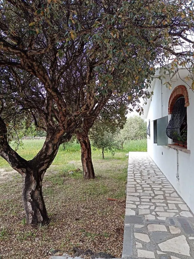 Villa Lupino Orosei Italia